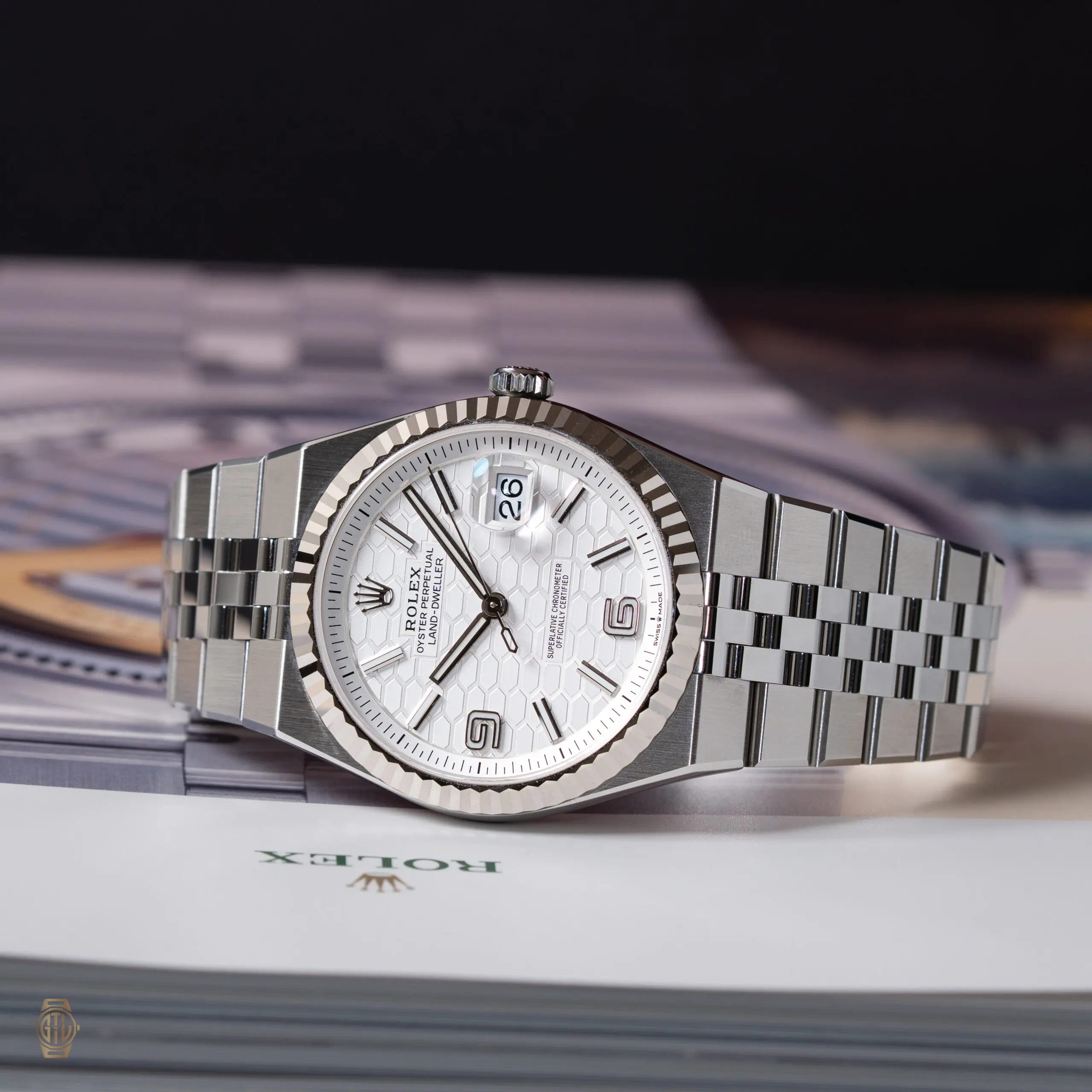 Luxury Rolex Land Dweller professional dive watch photographed in studio lighting — used as a visual reference in a 2026 market outlook and price prediction guide.
